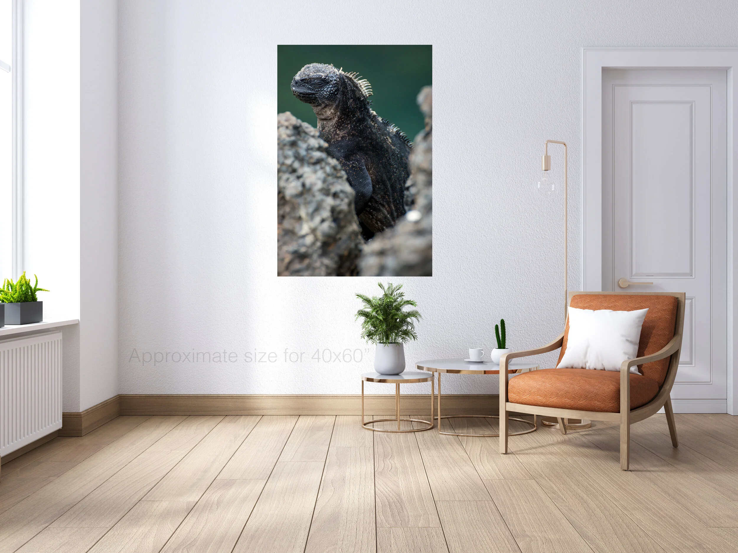Marine iguana 40x60.jpg