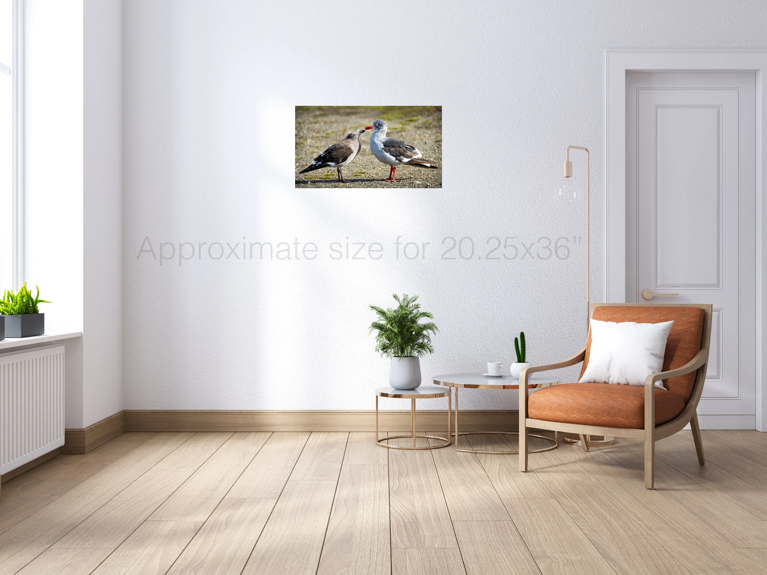 Ushuaia Pigeon 24x36.jpg