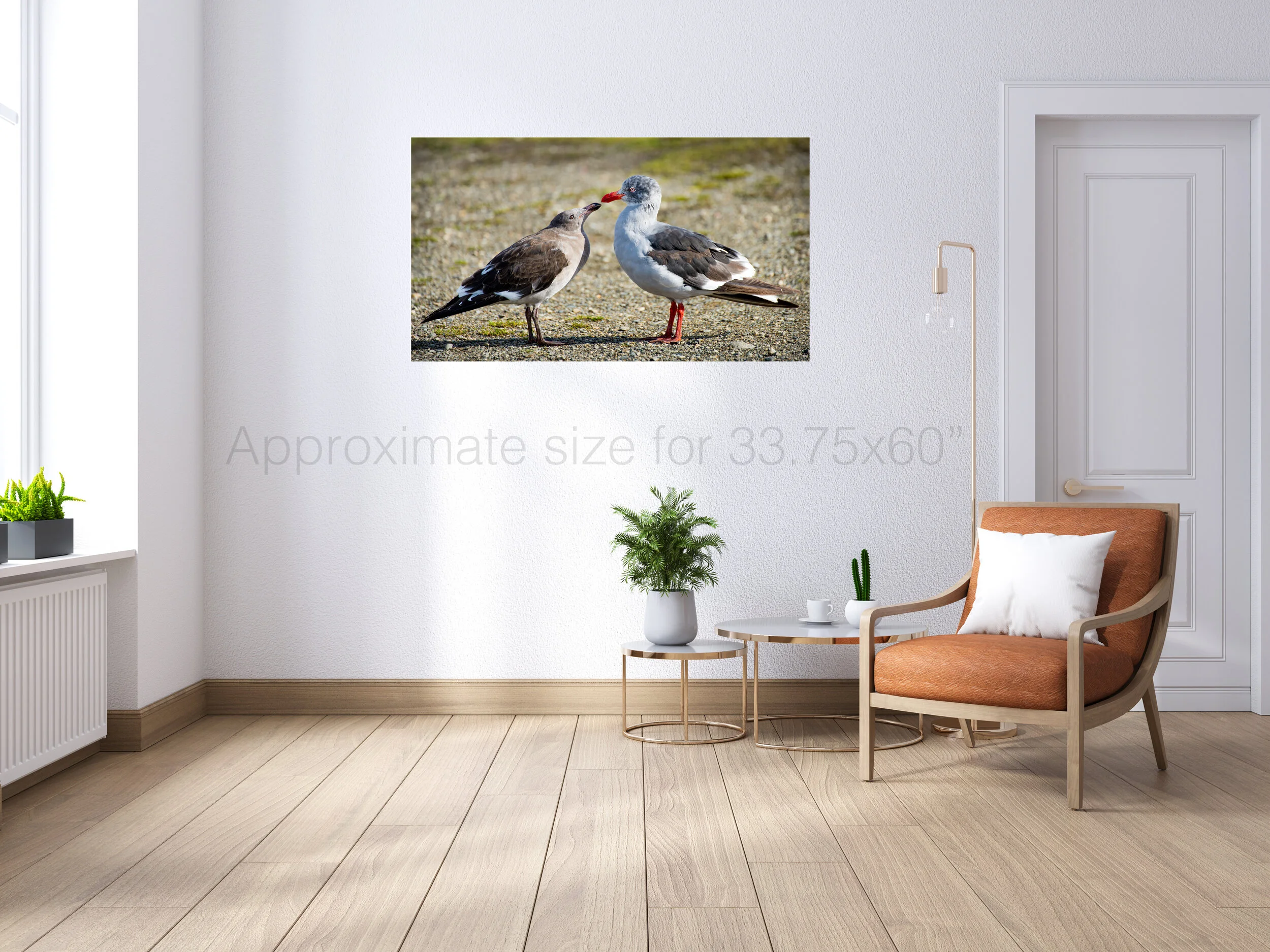 Ushuaia Pigeon 40x60.jpg