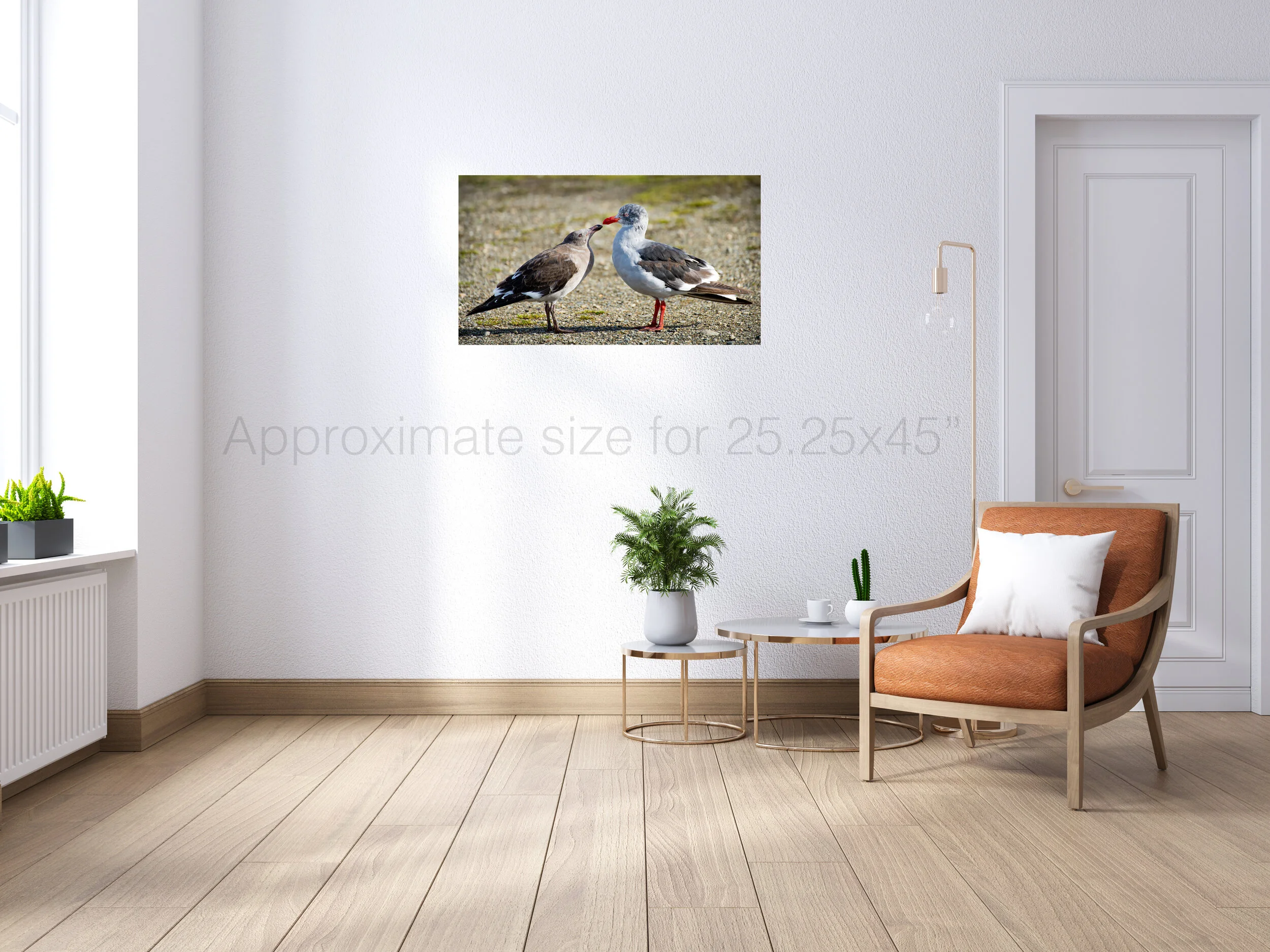 Ushuaia Pigeon 30x45.jpg