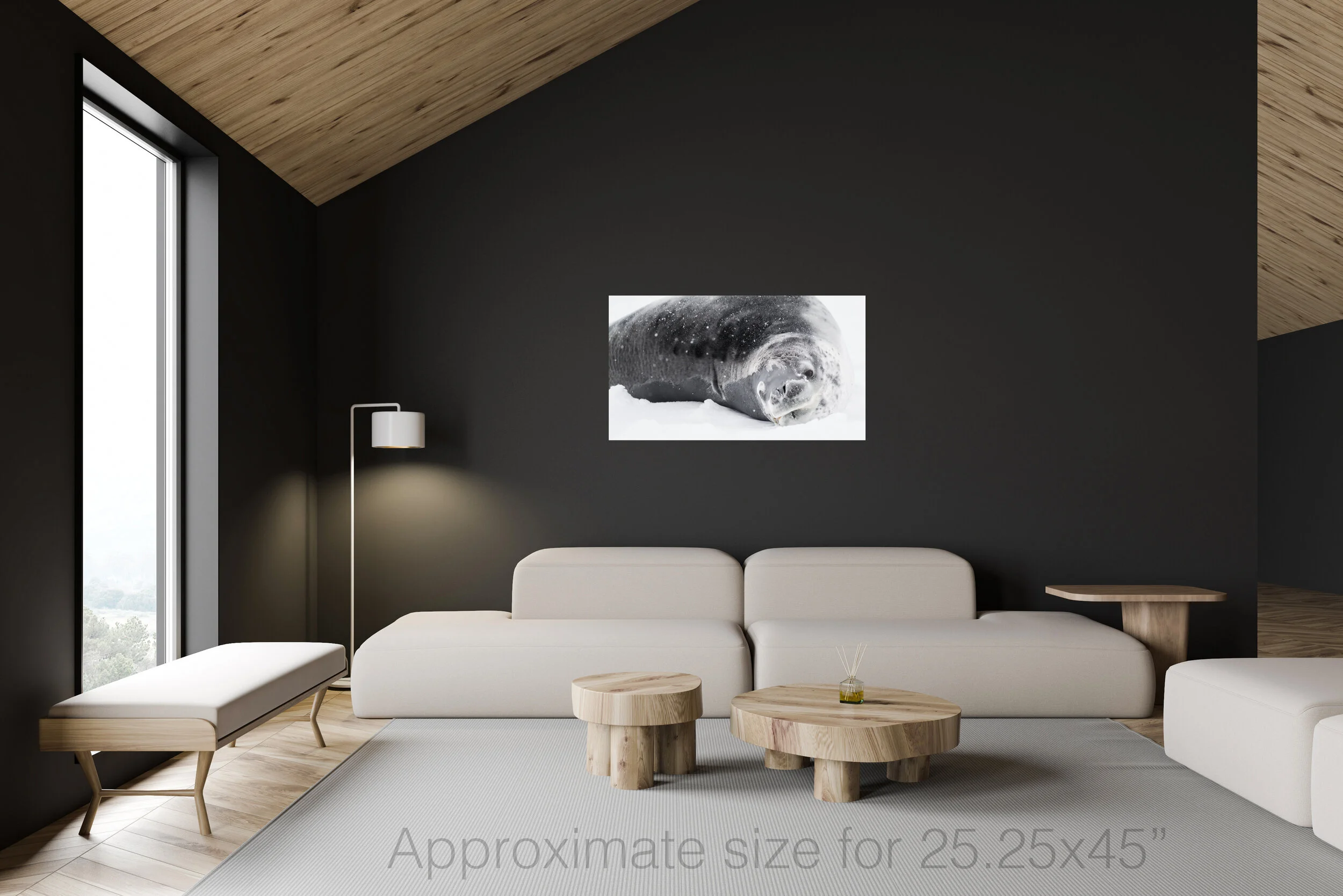 Leopard seal 30x45.jpg