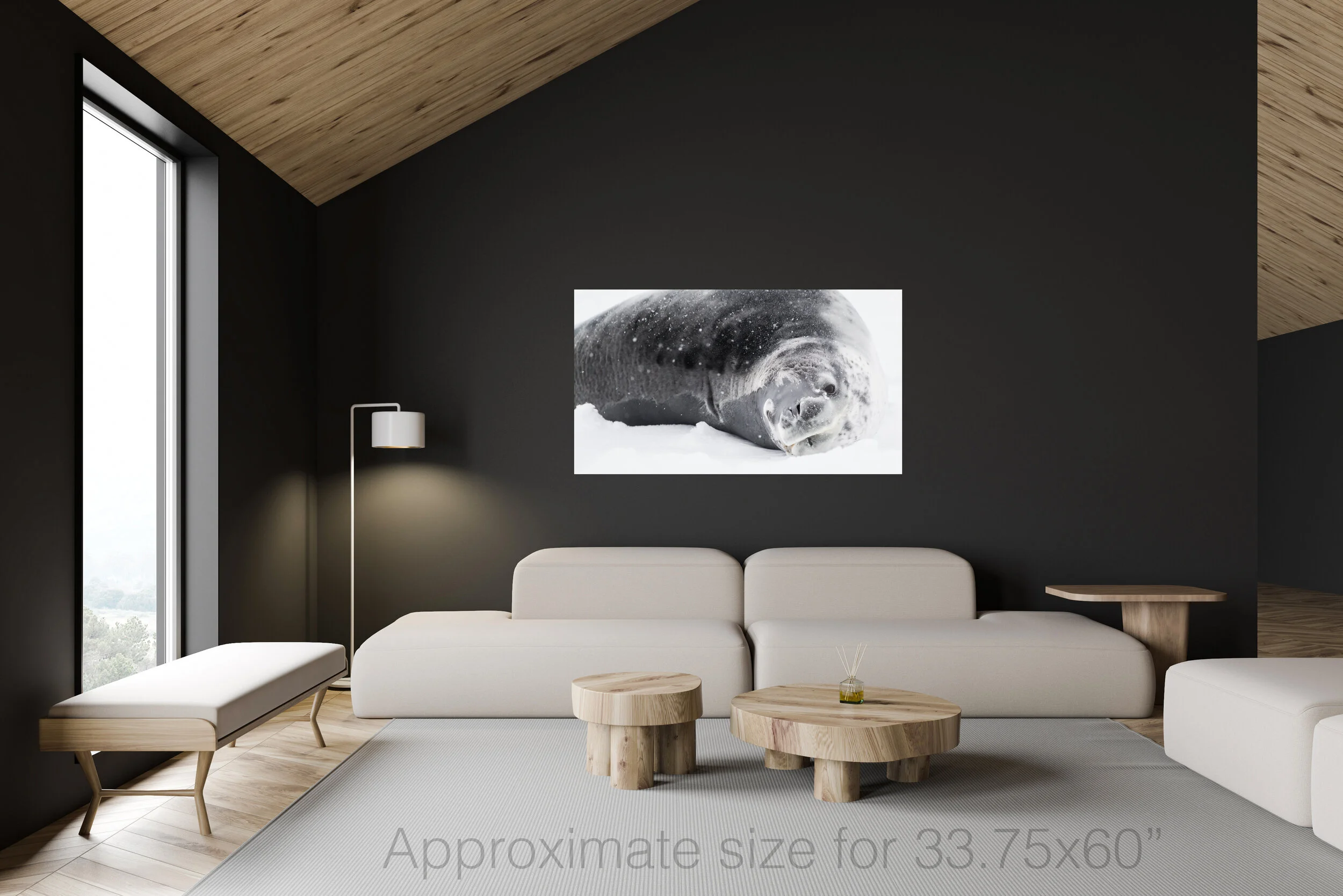Leopard seal 40x60.jpg