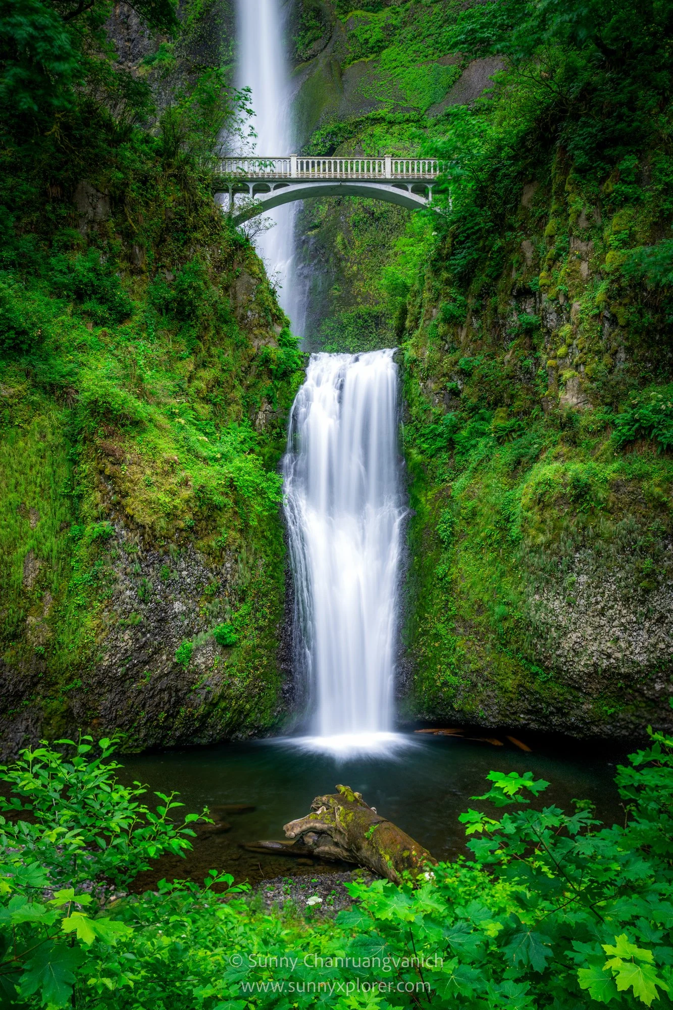 _SNY2941-Edit-2-Edit-2.jpg