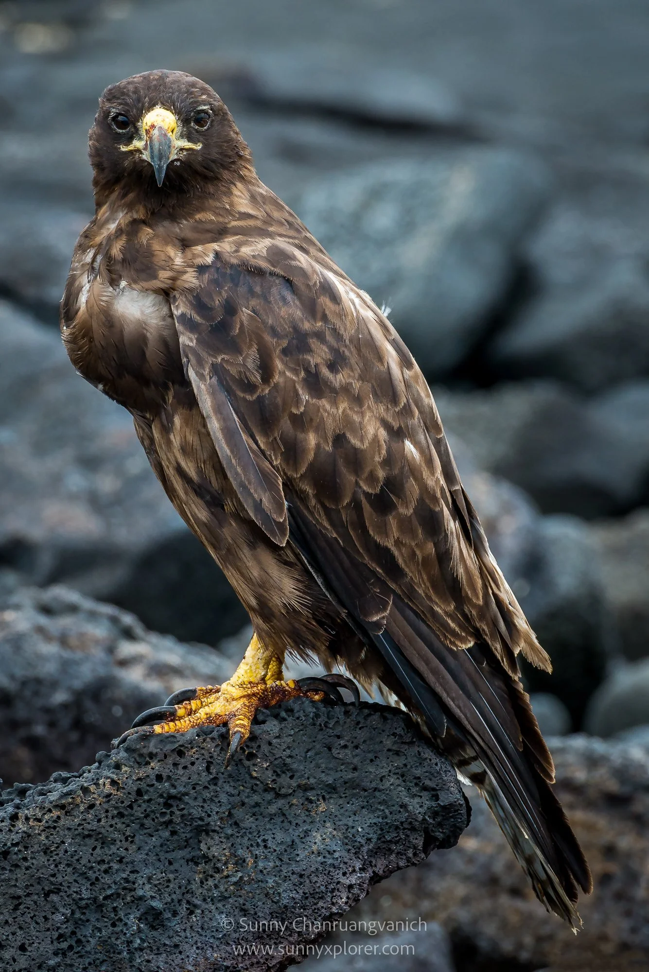_DSC4773-Edit-2-Edit.jpg