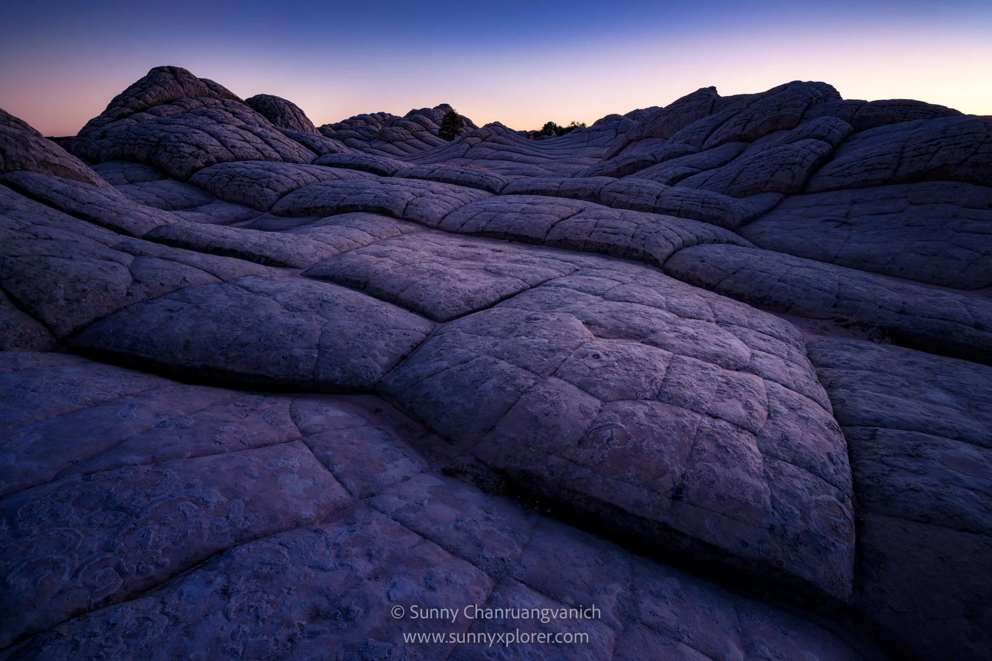 _SNY5398-Edit-Edit-Edit.jpg