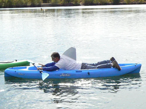 shark_pose.jpg