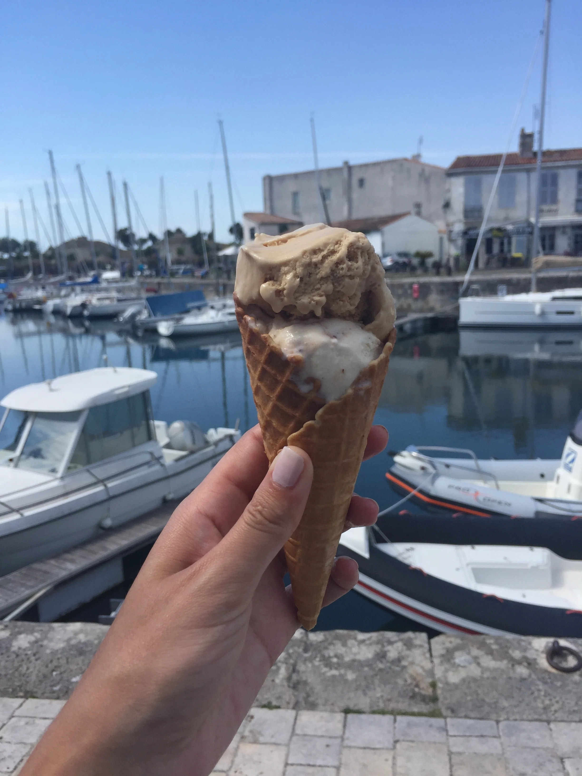  La Martinière in Saint Martin 