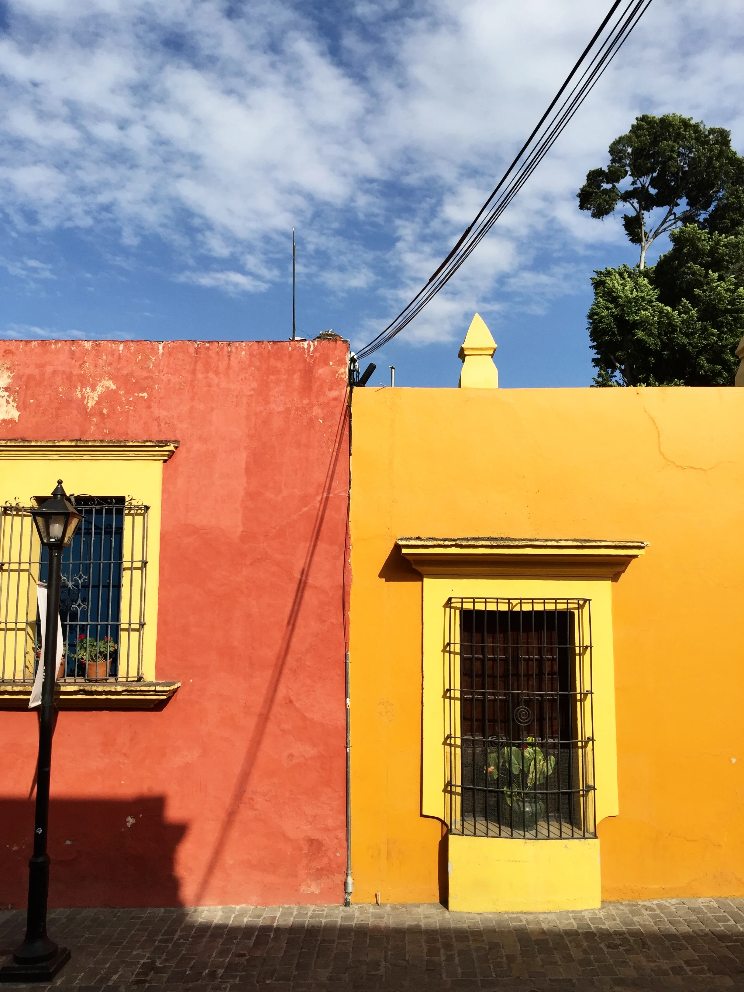 Lauren's iphone 1054.JPG