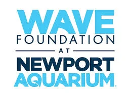 wave foundation.jpg