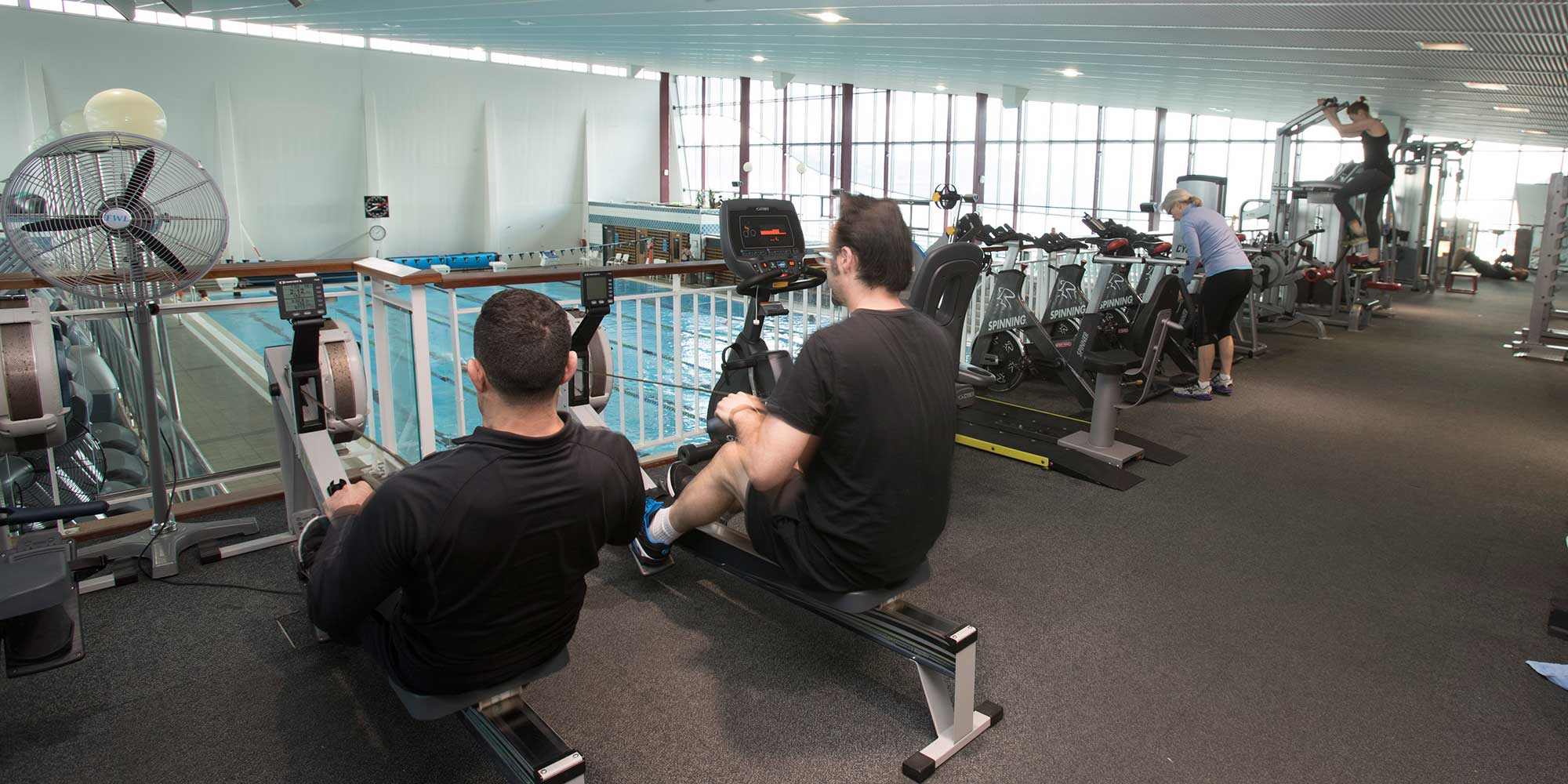 Using the rowing machines at Freyberg Pool & Fitness Centre.