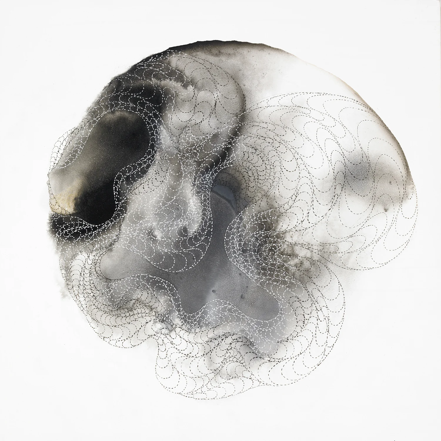 Ai Campbell, "Shell 05" (2014)