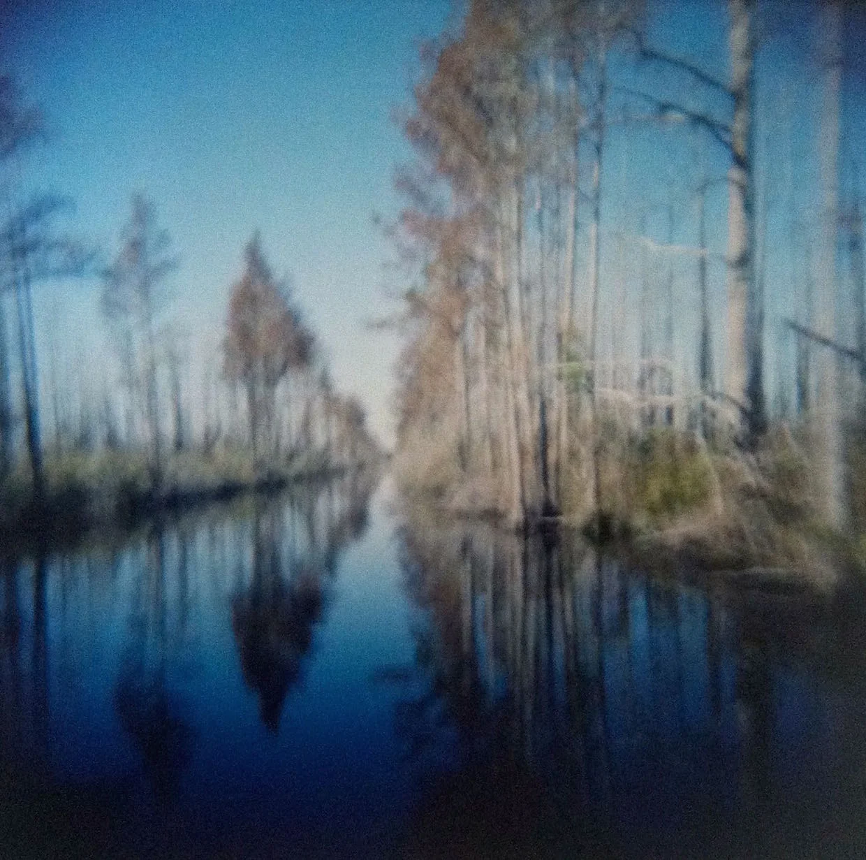 Amy Williams, "Foray" (2015)