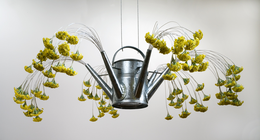 Rachel Selekman, "Yellow Velvet Spray" (2006)