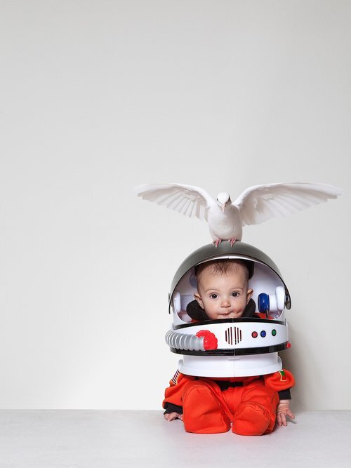 PlayFALL by Daniela Kostova