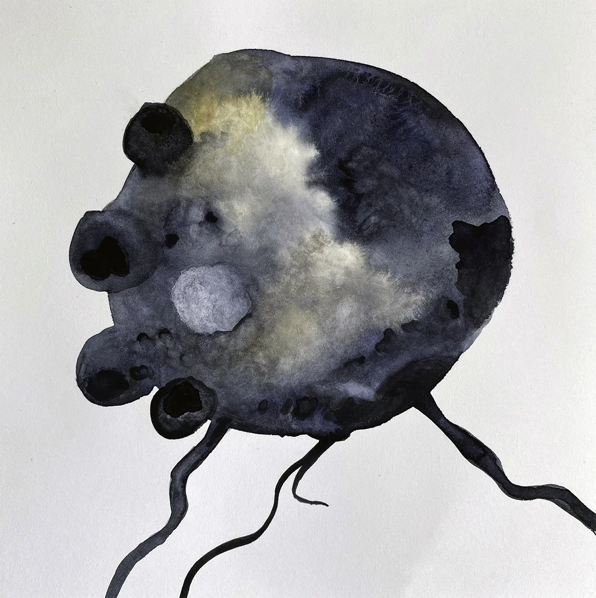 04 Sock 6x8 UFR.jpeg