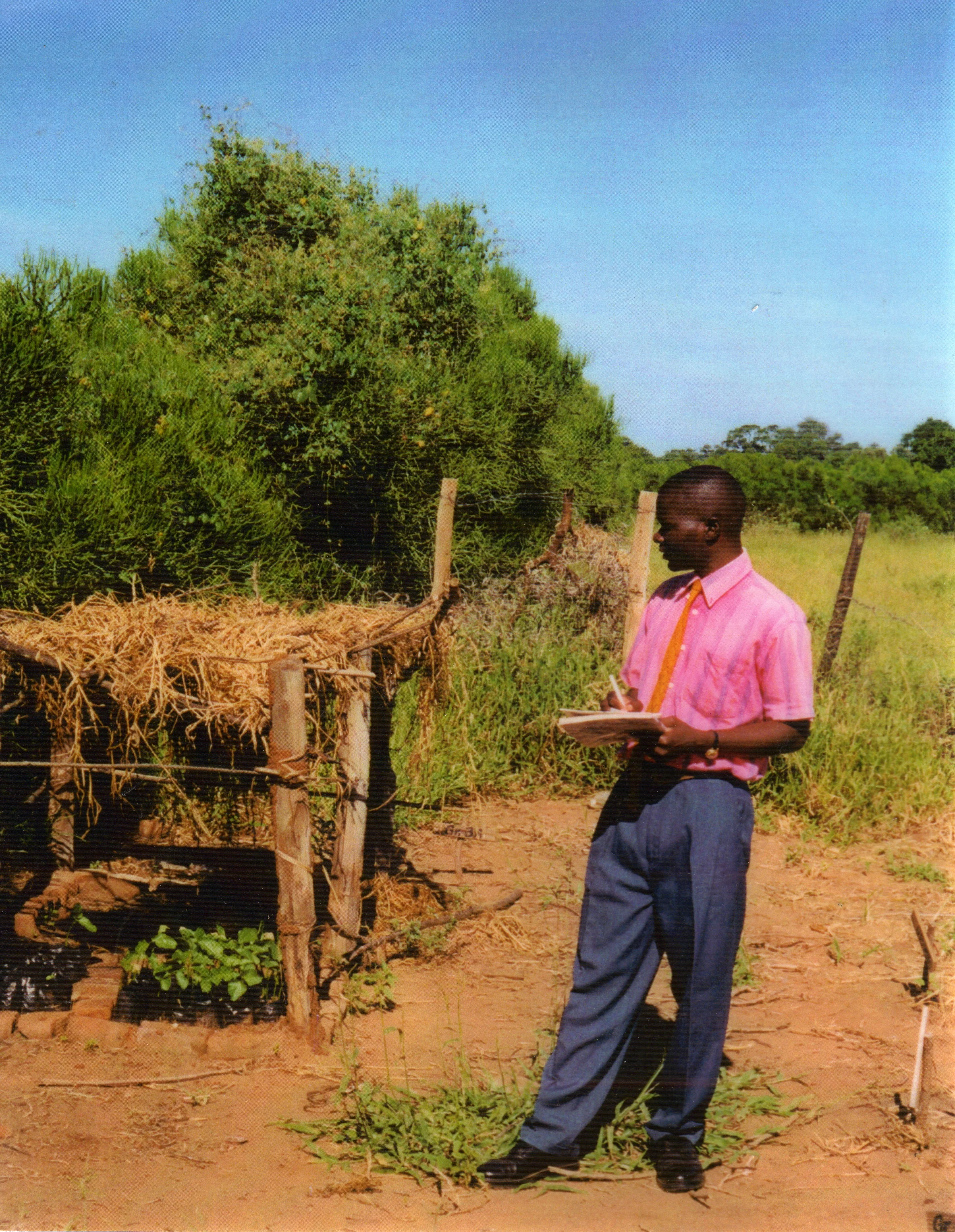 Community Tree Nursery - Maronga - Zimbabwe.jpg