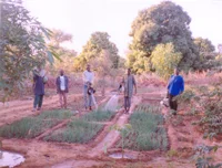 Mali Irrigation Project small.jpg