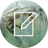 designprocess-ikon7.png