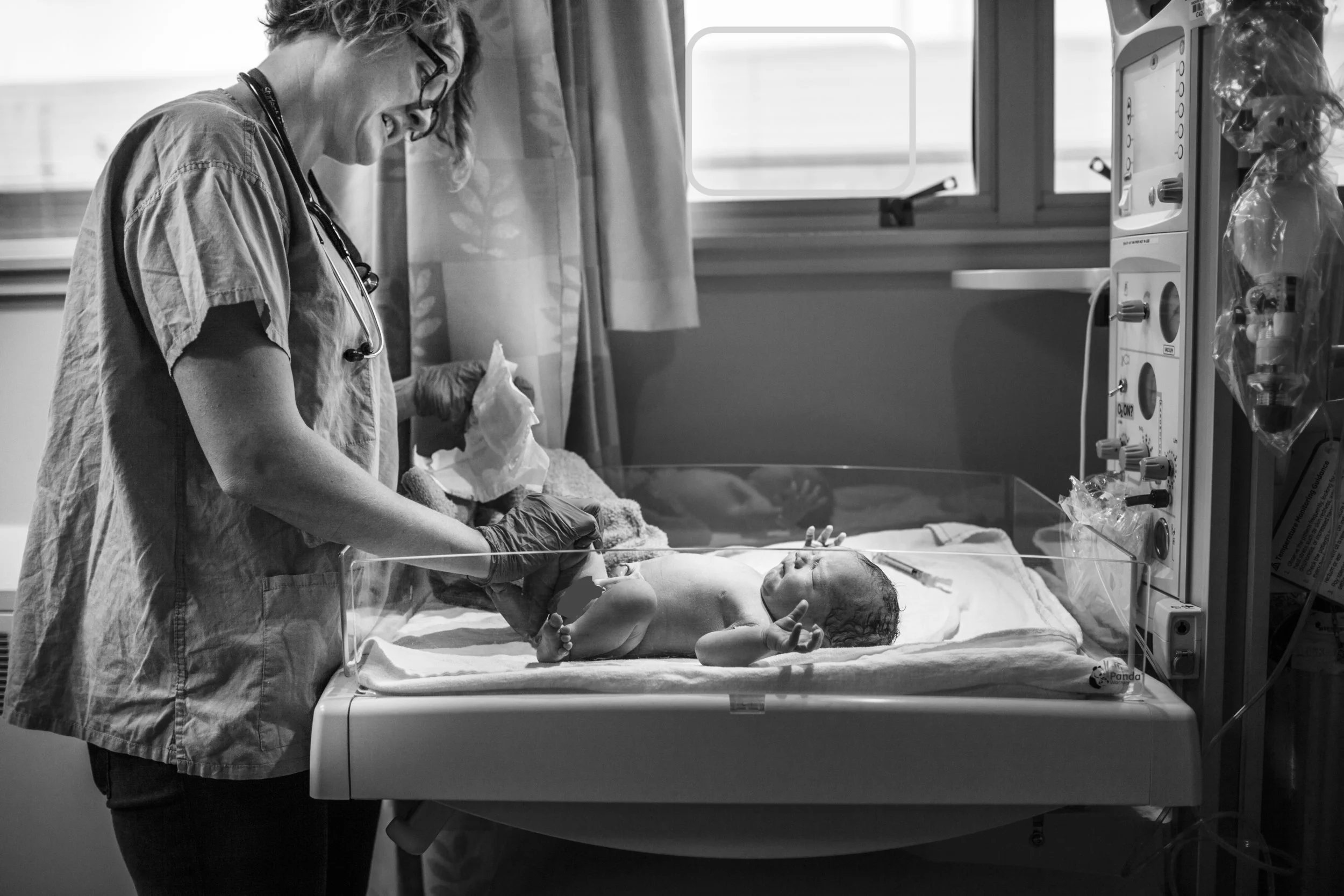 Colleen // Little Chickadees Newborn Photography