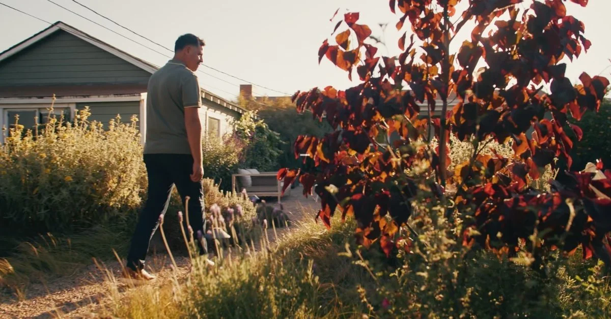 Planting Refreshment and Landscape Renewal on the Central Coast