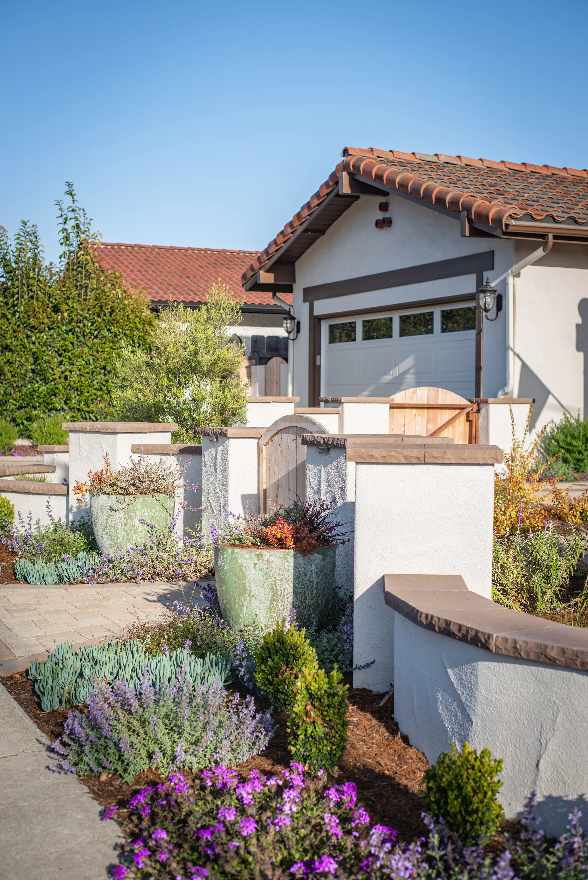 An image of a striking and warm Mediterranean landscape design in Arroyo Grande.