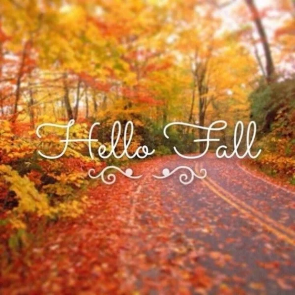 20-Happy-Fall-Quotes-5564-18.jpg