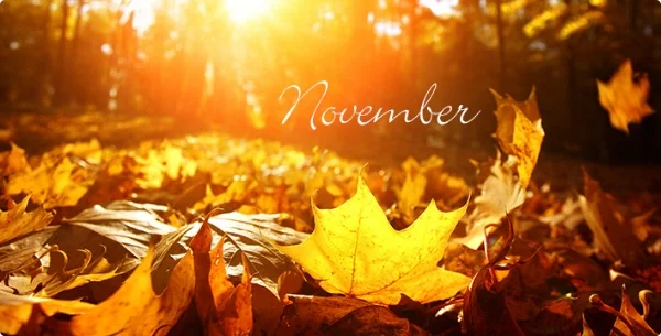 November16.jpg