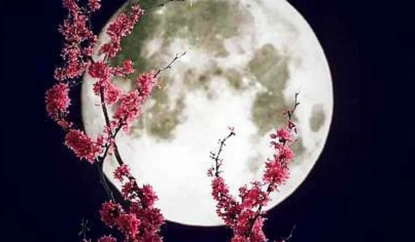 full-moon-virgo-2017.jpg