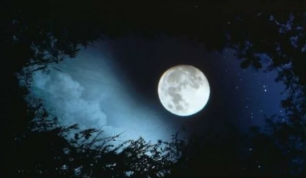 full-moon-in-sag.jpg
