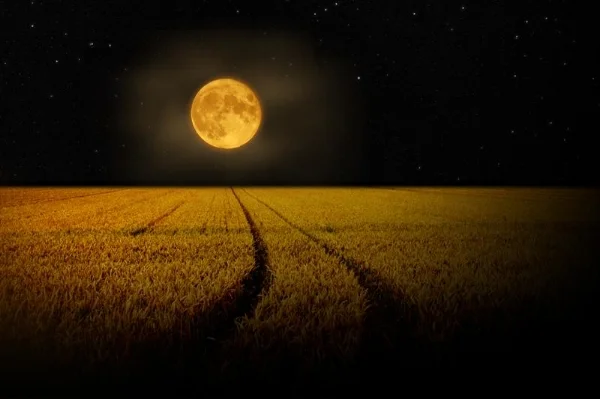 corn-moon1a.jpg