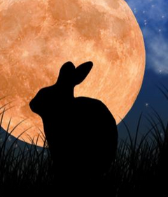 magnetrabbitharvestmoon.png