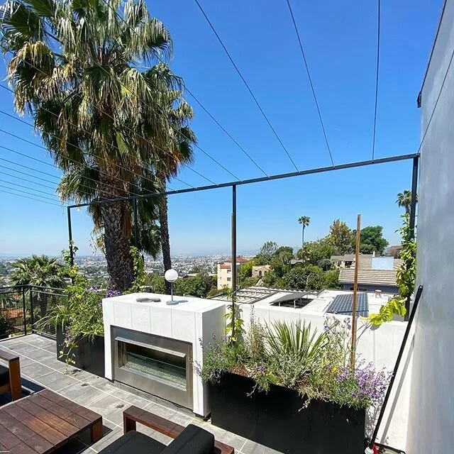 Custom powder coated steel planter boxes growing up to a slanted cable shade system I installed in sunny #silverlake for the talented @jonathanfroines #steelplanterbox #metalplanter #metalplanters #steelplanters #cablesystems #shadestructure #shadest