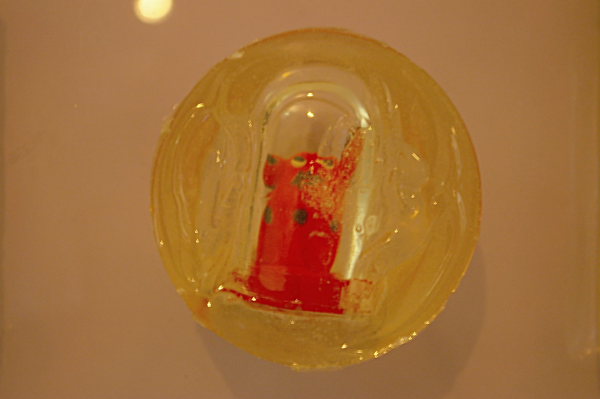 SG1S1649.JPG