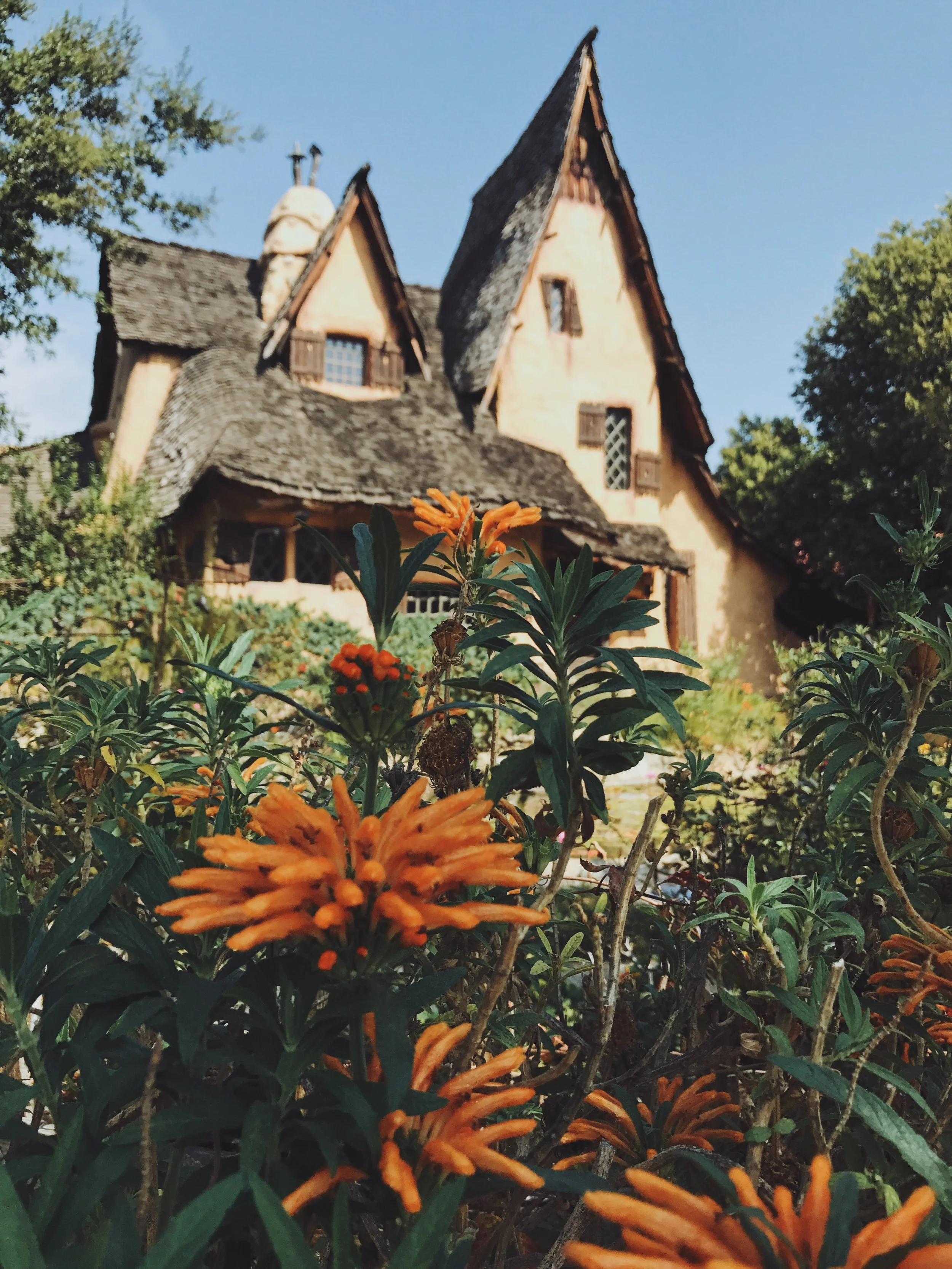 The Witch's House - Exterior