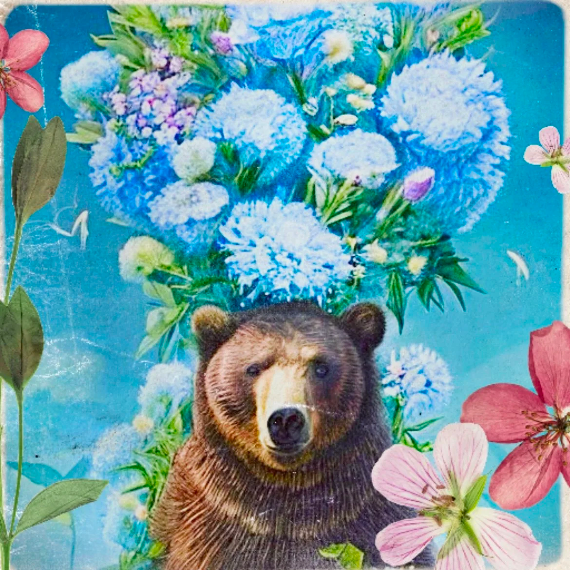 Adam Stevens | Growing Grateful Harvests: Heirloom Seeds & Community with Mr. Permie Bear
