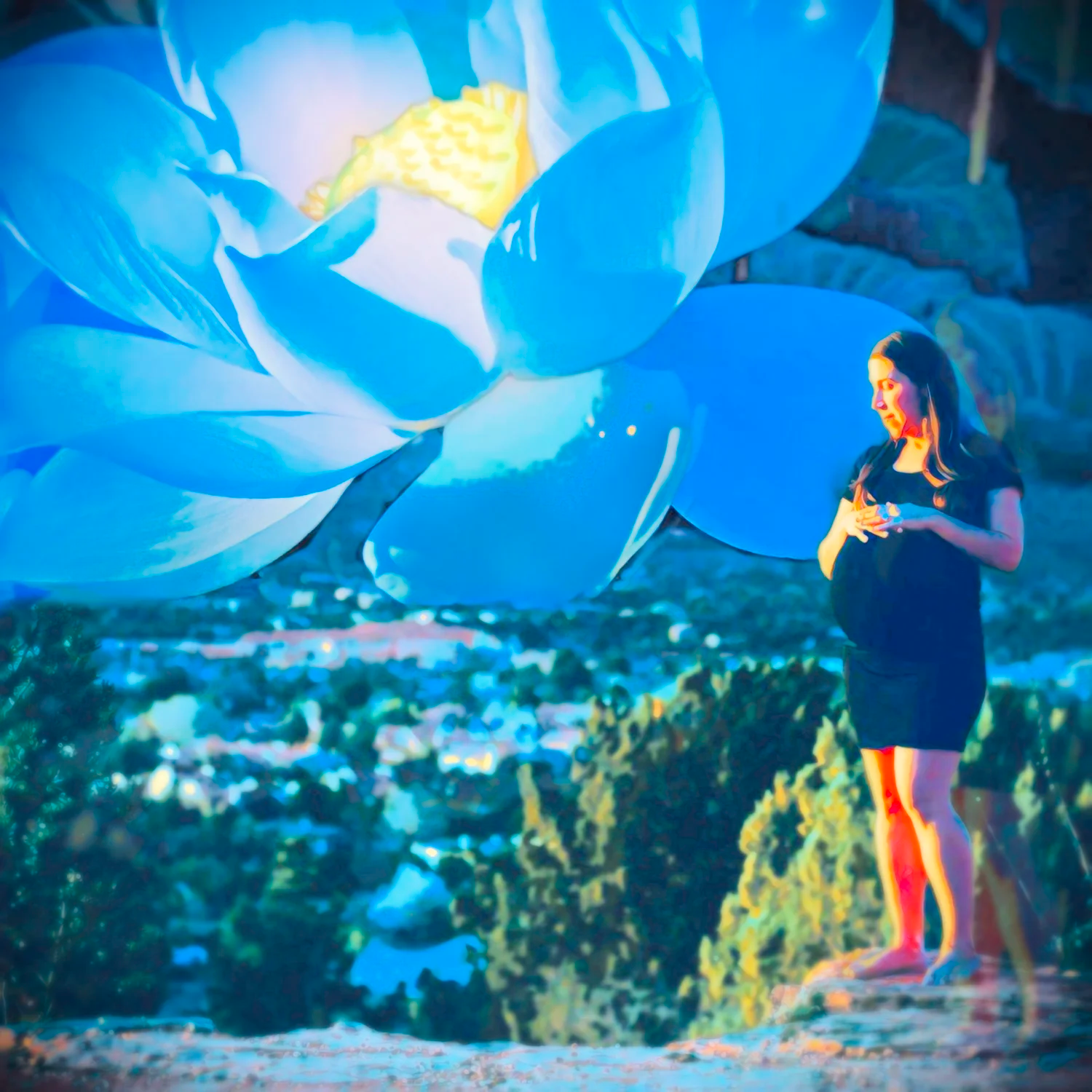Maryn Green | Reclaiming the Mystery of Life: Private Midwifery and the Indie Birth Association