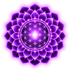 Crown chakra biofield anatomy