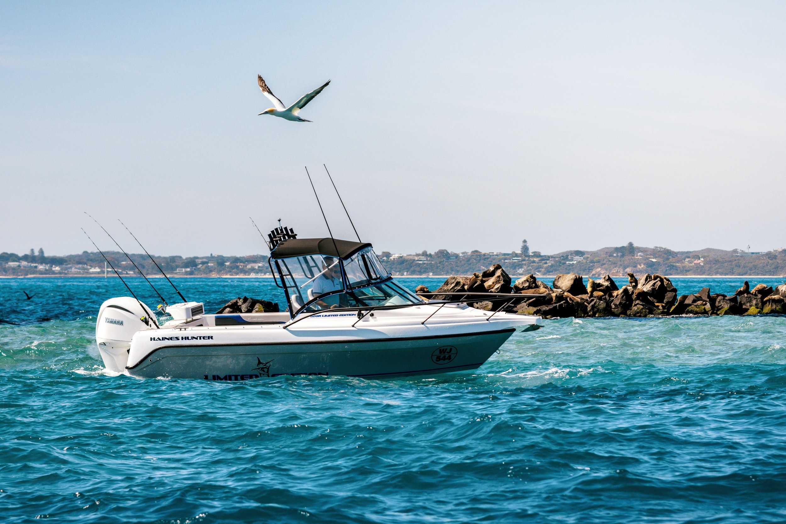 3C2A5462-Edit.jpg