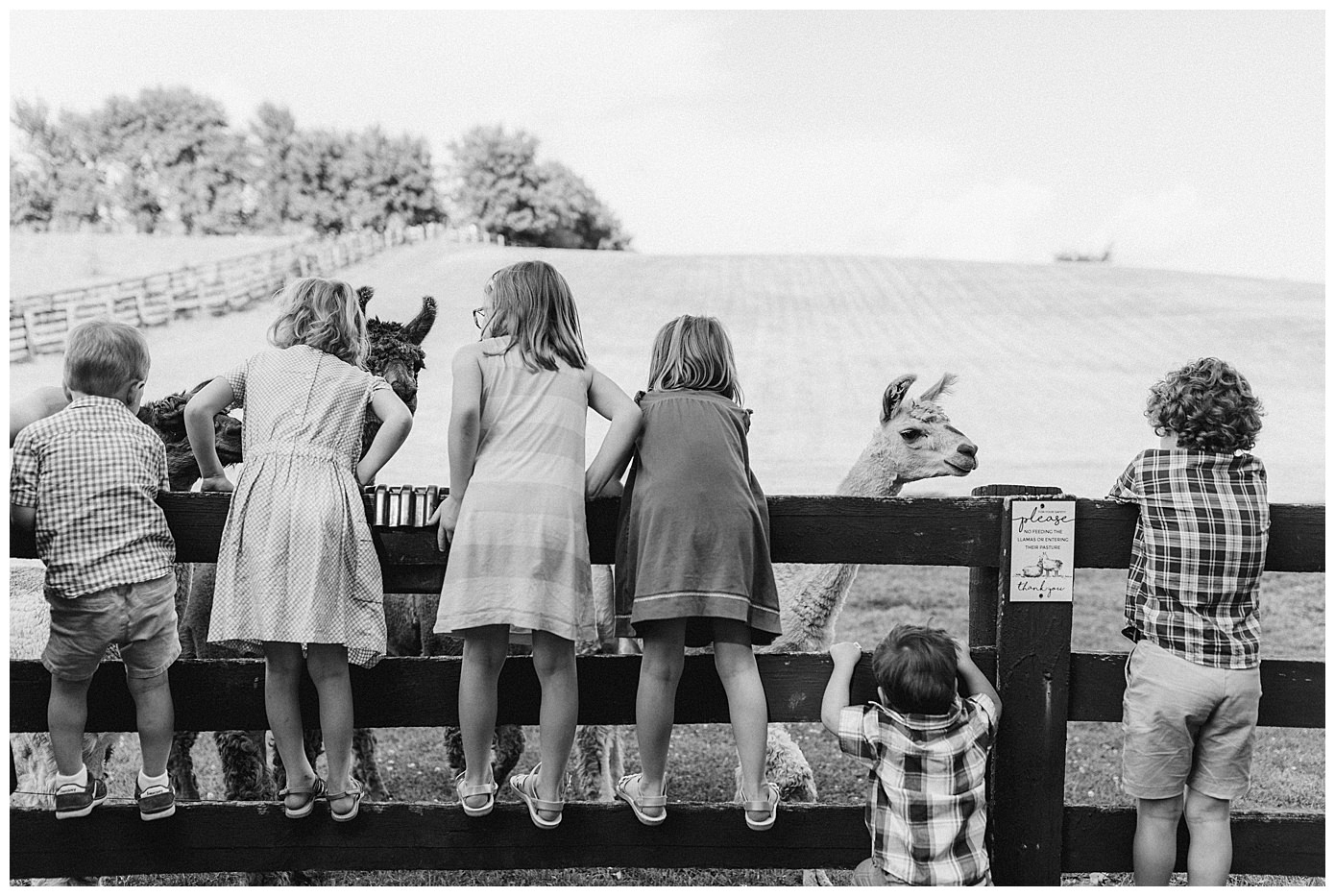 GOLDEN OAK FARM WEDDING WEBSTER, MN_0727.jpg