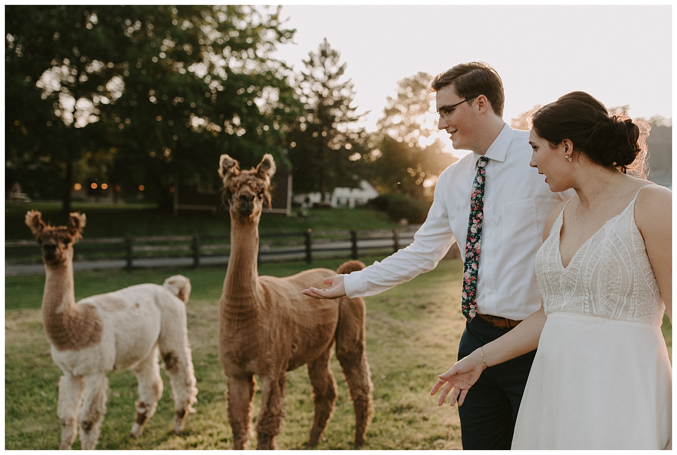 GOLDEN OAK FARM WEDDING WEBSTER, MN_0739.jpg