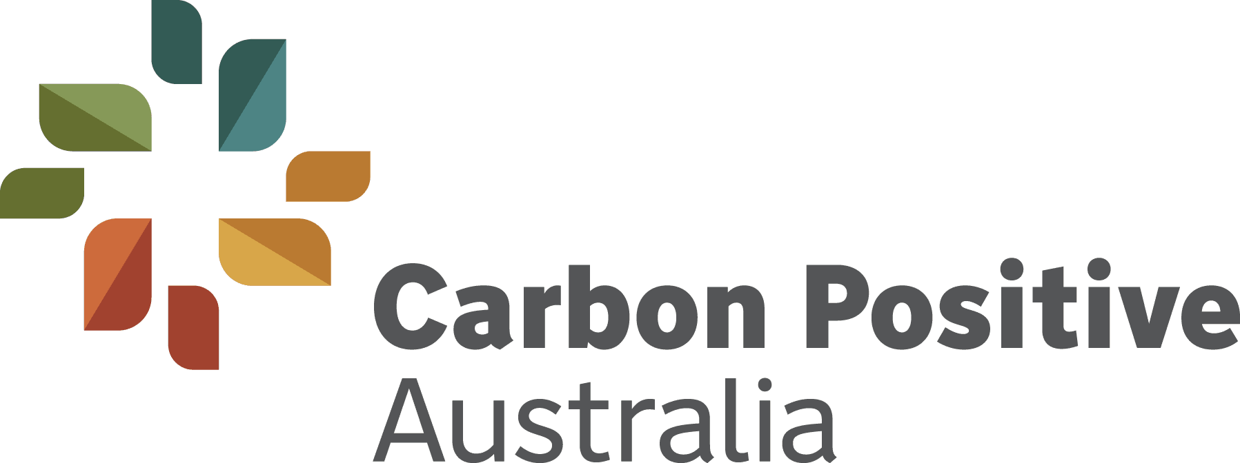 Carbon-Positive-Horizontal-LrgWeb.png