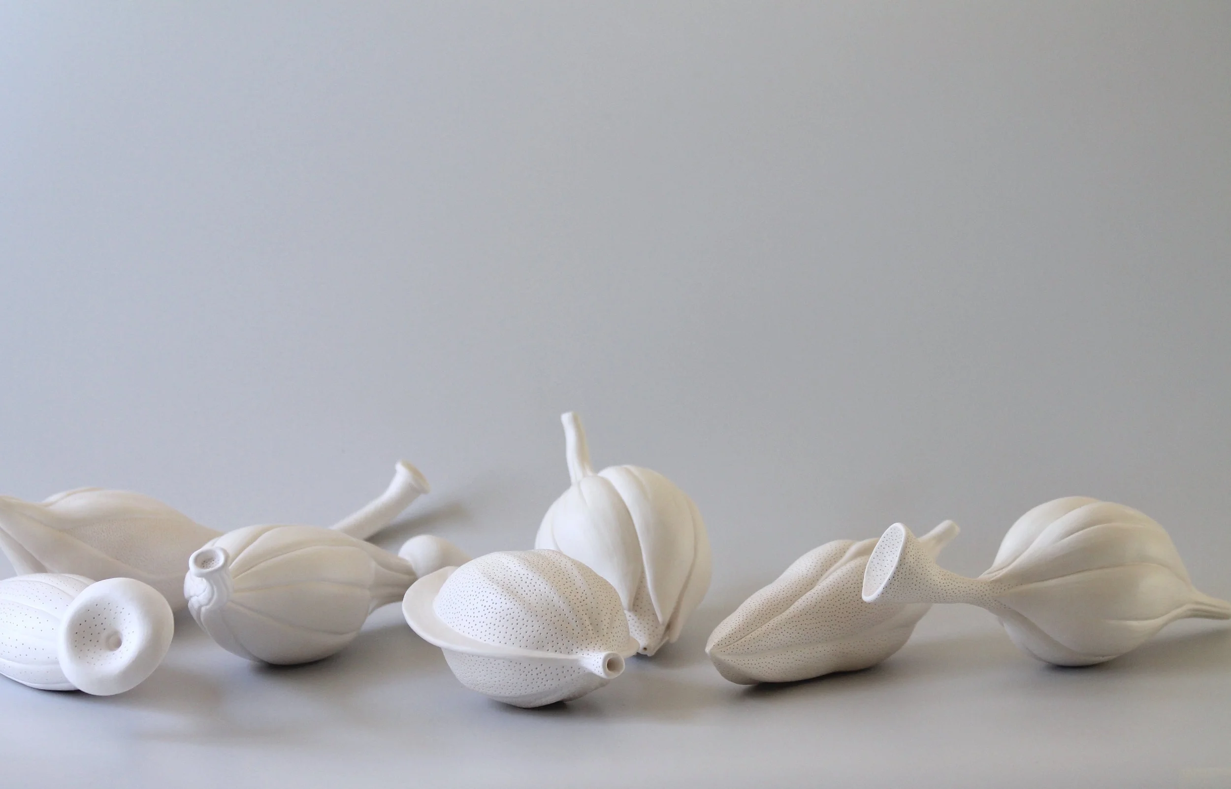 Sarah Rayner. Gynoecium. 2016/17. Hand carved porcelain with Terra sigillata. Photograph by Shannon Garson.