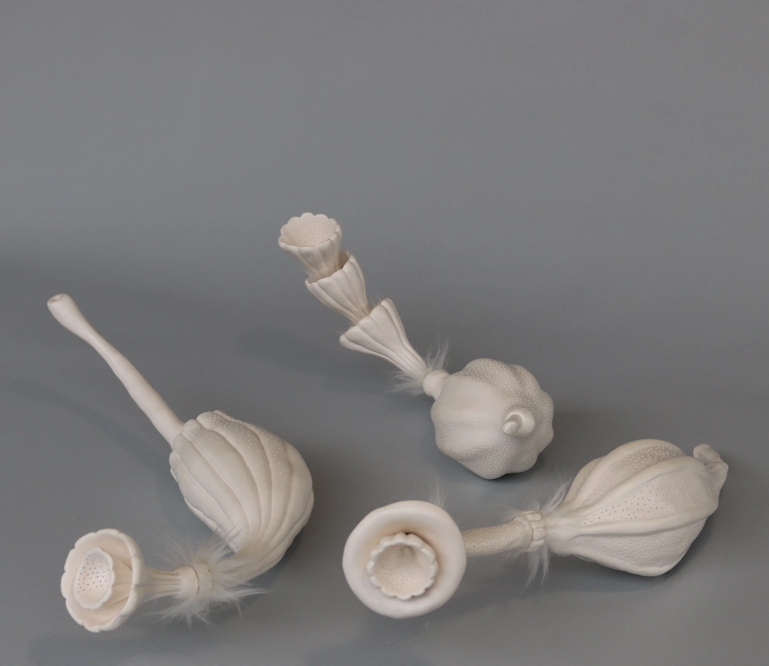 Sarah Rayner. Gynoecium . 2017. Hand carved porcelain with Terra sigillata and fur. Photograph by Jeffrey Rayner.