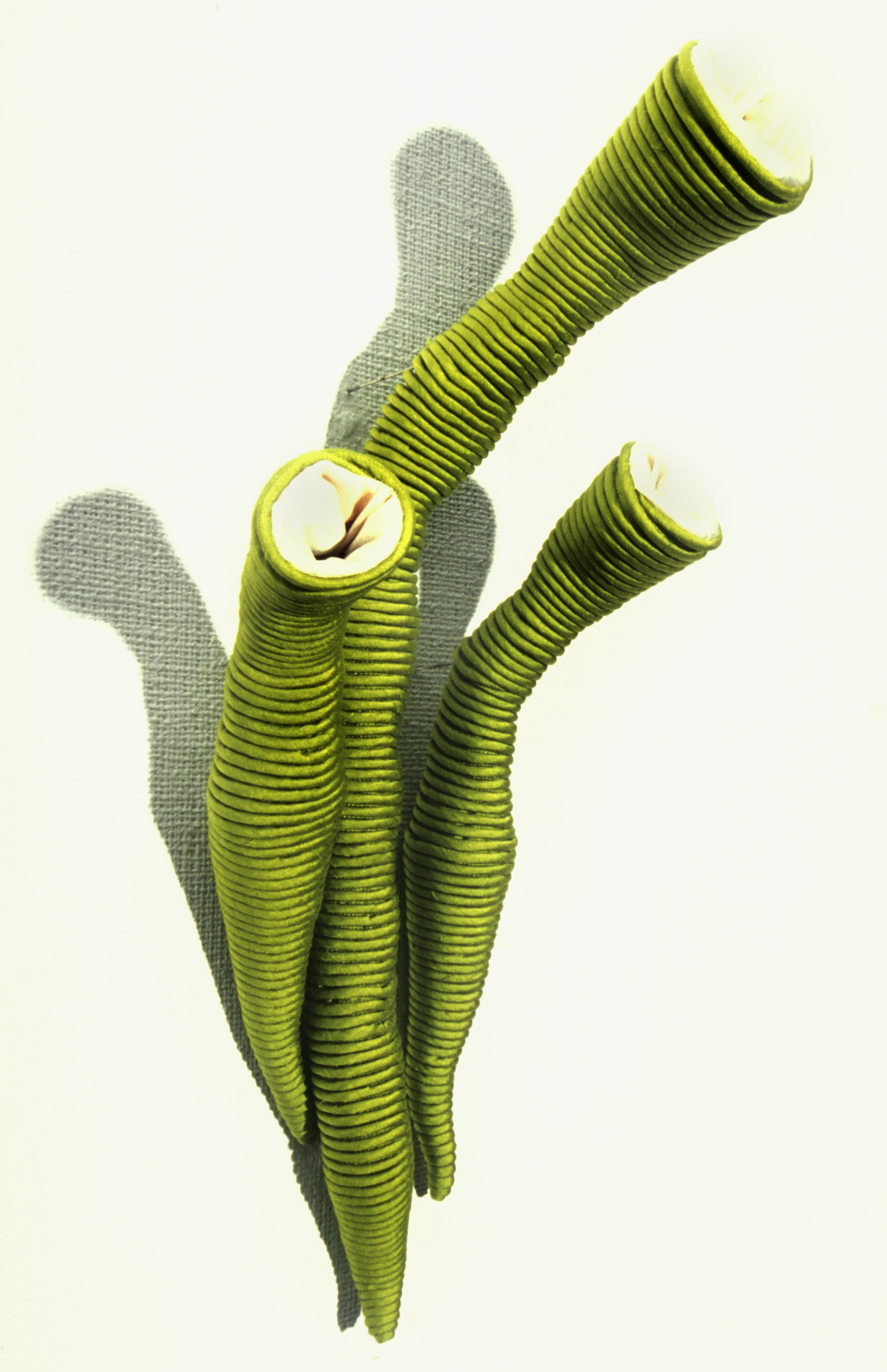 Sarah Rayner. Evolucrum viridi . Involvo Evolvo. Craft Queensland (Artisan Gallery). 2001. Silk. Photograph by Don Hildred.