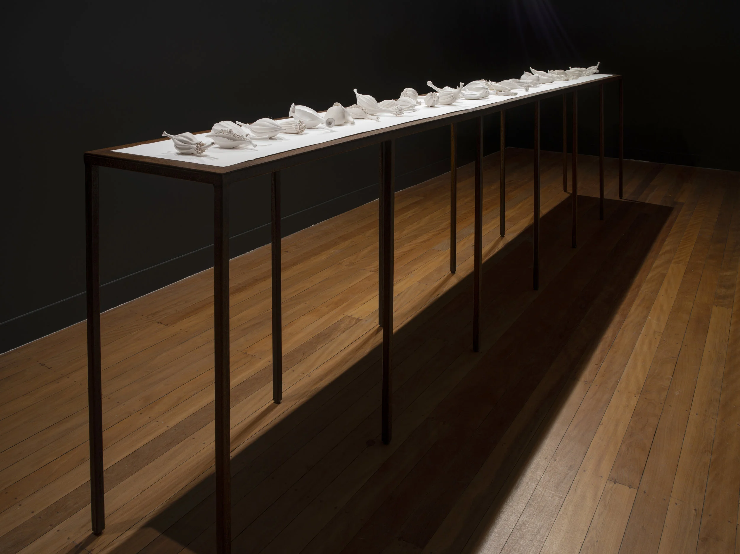 Sarah Rayner, Flowerbones installation at Onespace Gallery, 2018, 50 individual componenets (37 works), rusted steel tables, 4350mm x 470mm x 950mm with cotton rag paper base. Photo: Carl Warner.