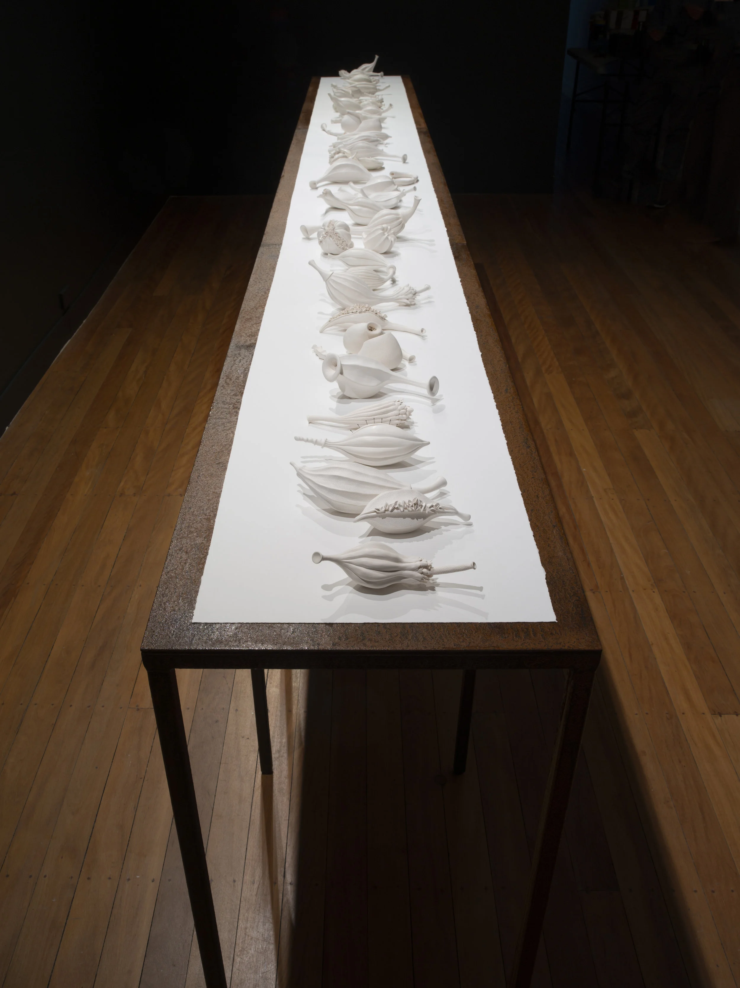 Sarah Rayner, Flowerbones installation at Onespace Gallery, 2018, 50 individual componenets (37 works), rusted steel tables, 4350mm x 470mm x 950mm with cotton rag paper base. Photo: Carl Warner.