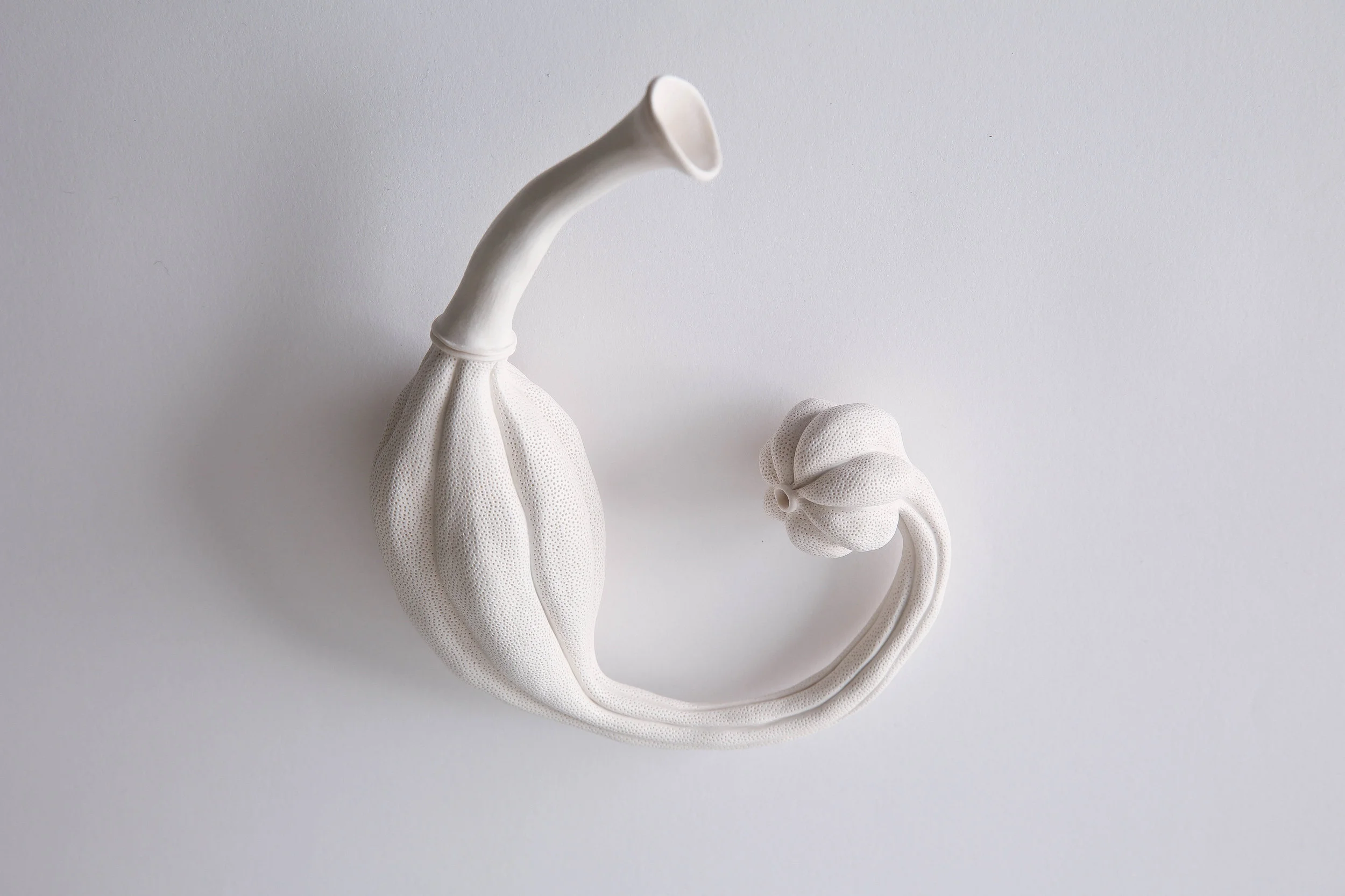 Sarah Rayner, Telopea truncata Flowerbone Series detail , 2019, hand carved porcelain, Terra Sigillata, various dimensions, Photo: Cristie Quail