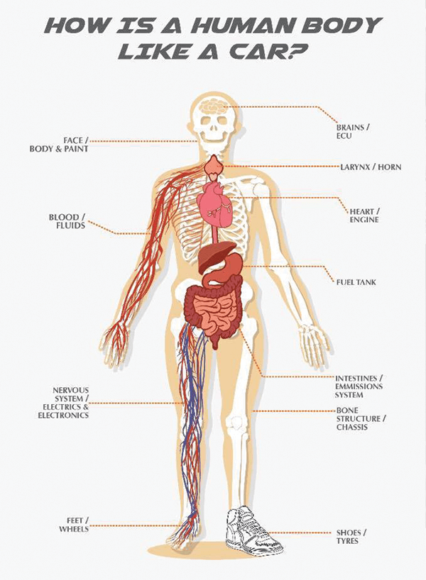 TOC-Car-Doctors.png