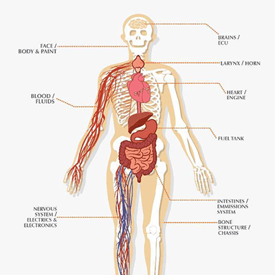 Car Doctors in the making at TOC Automotive College!