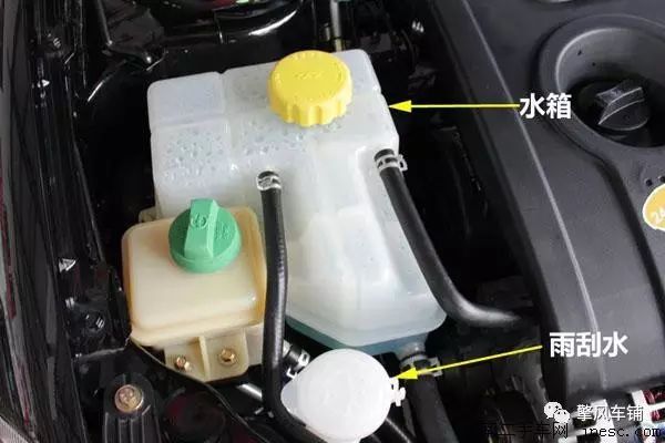 Image from: Sohu